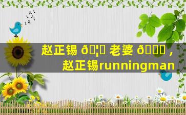 赵正锡 🦈 老婆 🐅 ,赵正锡runningman